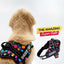 Personalized Dog Harness - SUPER PAWS