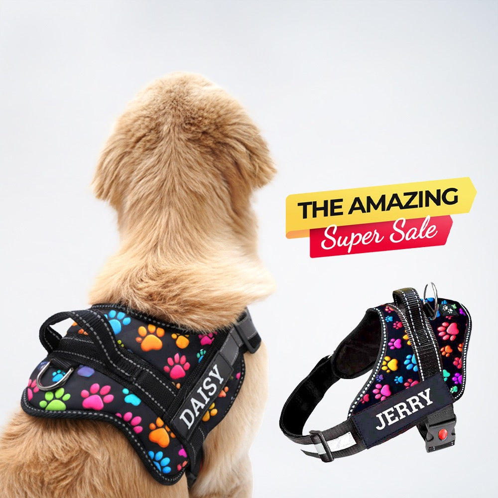 Personalized Dog Harness