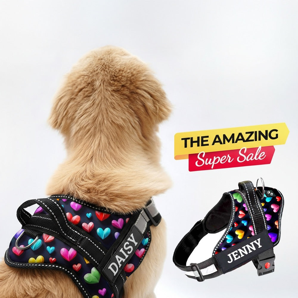 Personalized Dog Harness - SUPER HEARTS 3D