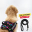 Personalized Dog Harness