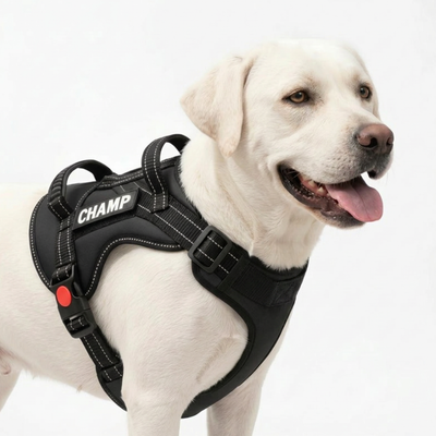 Personalized Supreme Harness - BLACK