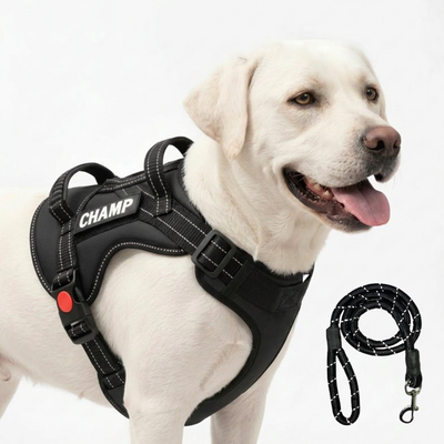 Personalized Supreme Harness - BLACK