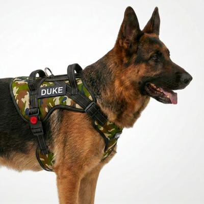 Personalized Supreme Harness - CAMOUFLAGE
