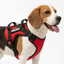 Personalized Supreme Harness - RED