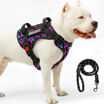 Personalized Supreme Harness - RETRO SPICE