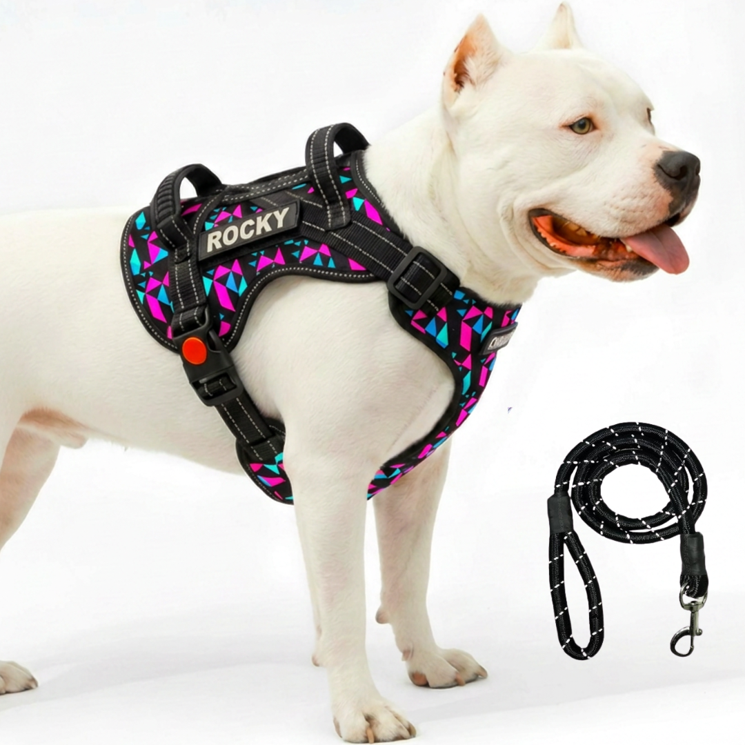 Personalized Supreme Harness - RETRO SPICE