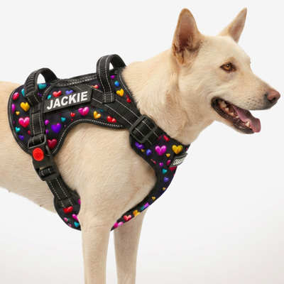 Personalized Supreme Harness - SUPER HEARTS 3D