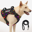 Personalized Supreme Harness - SUPER HEARTS 3D