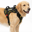 Personalized Supreme Harness - THUNDER