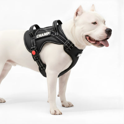 Personalized Supreme Harness - BLACK