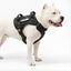 Personalized Supreme Harness - BLACK