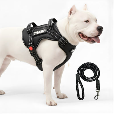 Personalized Supreme Harness - BLACK