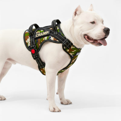 Personalized Supreme Harness - CAMOUFLAGE