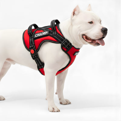 Personalized Supreme Harness - RED