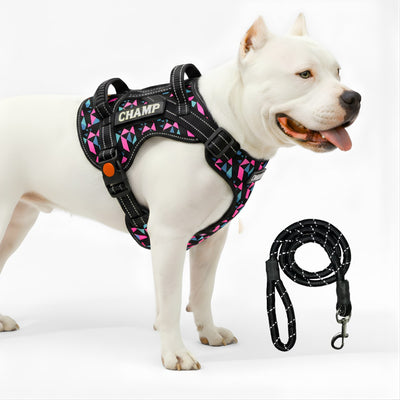 Personalized Supreme Harness - RETRO SPICE