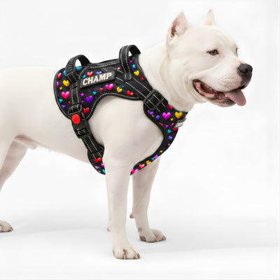 Personalized Supreme Harness - SUPER HEARTS 3D