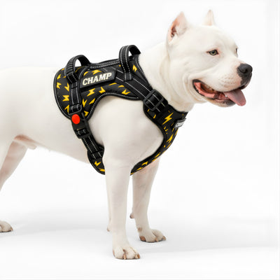 Personalized Supreme Harness - THUNDER