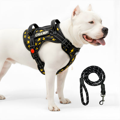 Personalized Supreme Harness - THUNDER
