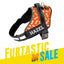 Personalized Dog Harness