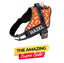 Personalized Dog Harness - TANGERINE