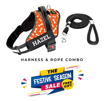 Personalized Dog Harness - TANGERINE