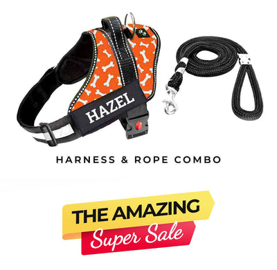 Personalized Dog Harness - TANGERINE