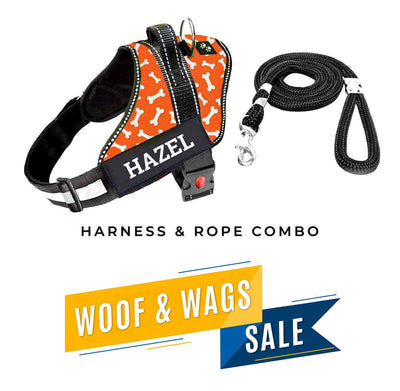 Personalized Dog Harness - TANGERINE