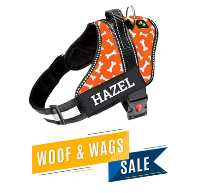 Personalized Dog Harness - TANGERINE