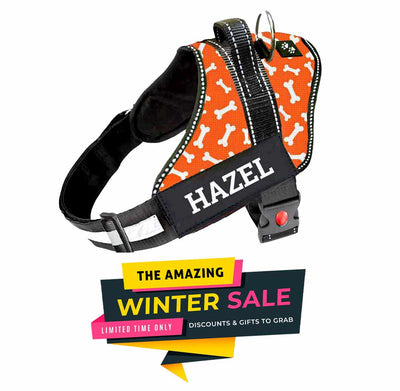 Personalized Dog Harness - TANGERINE