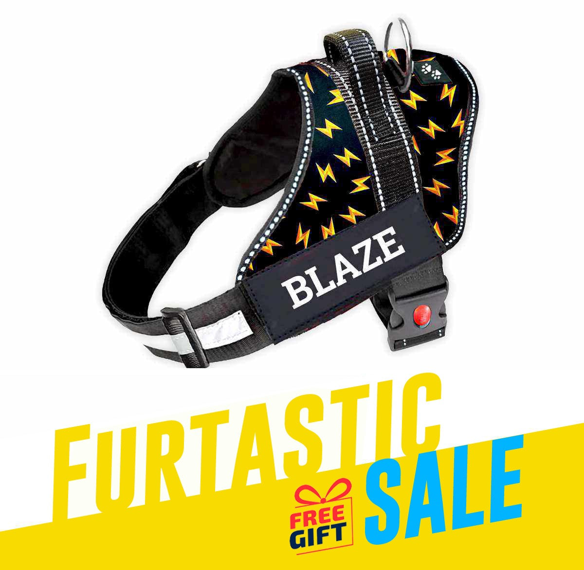 Personalized Dog Harness