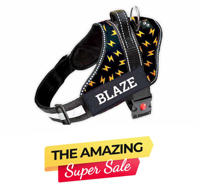 Personalized Dog Harness - THUNDER