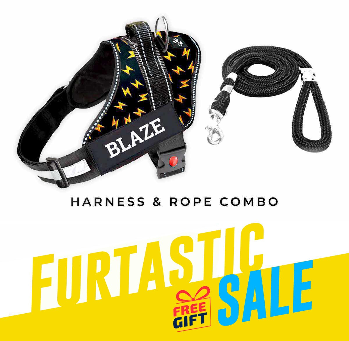 Personalized Dog Harness