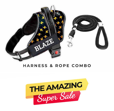 Personalized Dog Harness - THUNDER