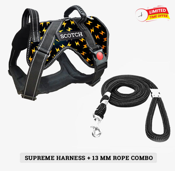 Personalized SUPREME Harness | Premium Quality