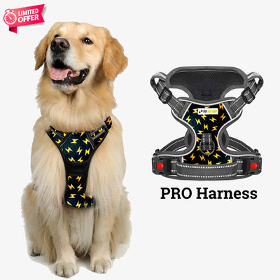 PRO Harness - Thunder - Reflective | No-Choke | Adjustable
