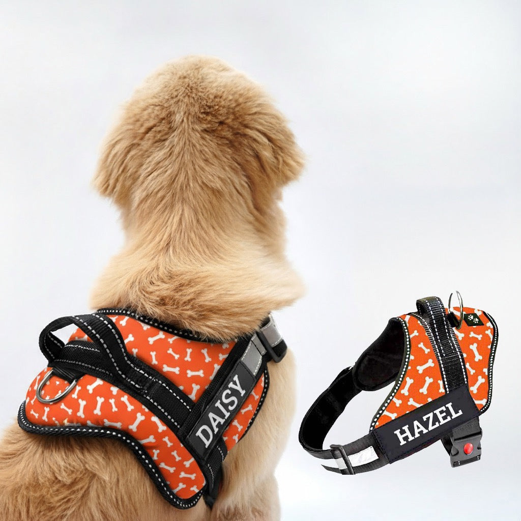 Personalized Dog Harness - TANGERINE