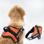 Personalized Dog Harness