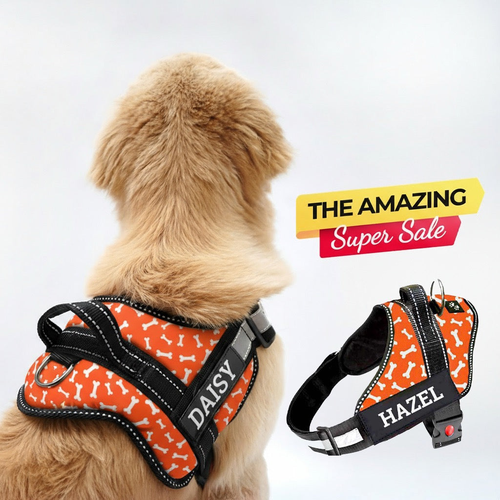 Personalized Dog Harness - TANGERINE