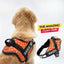 Personalized Dog Harness - TANGERINE