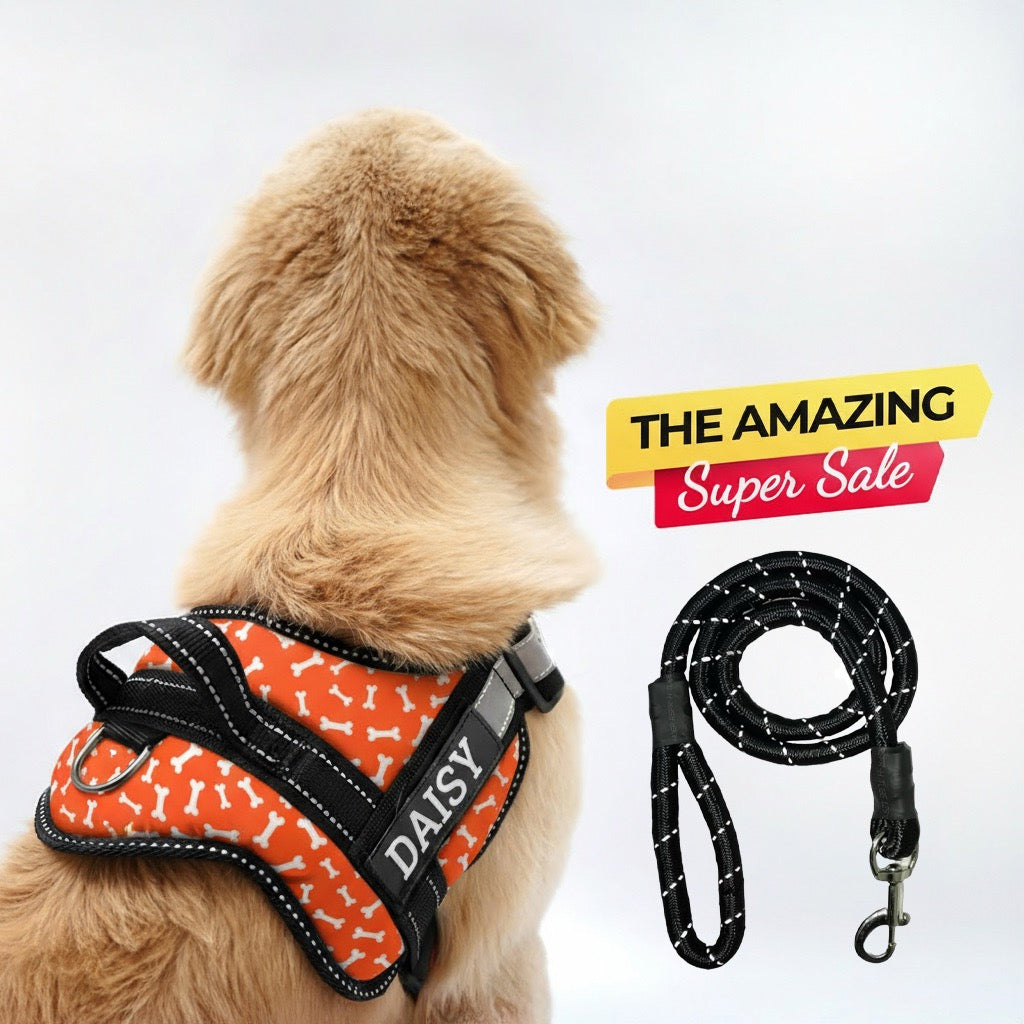 Personalized Dog Harness