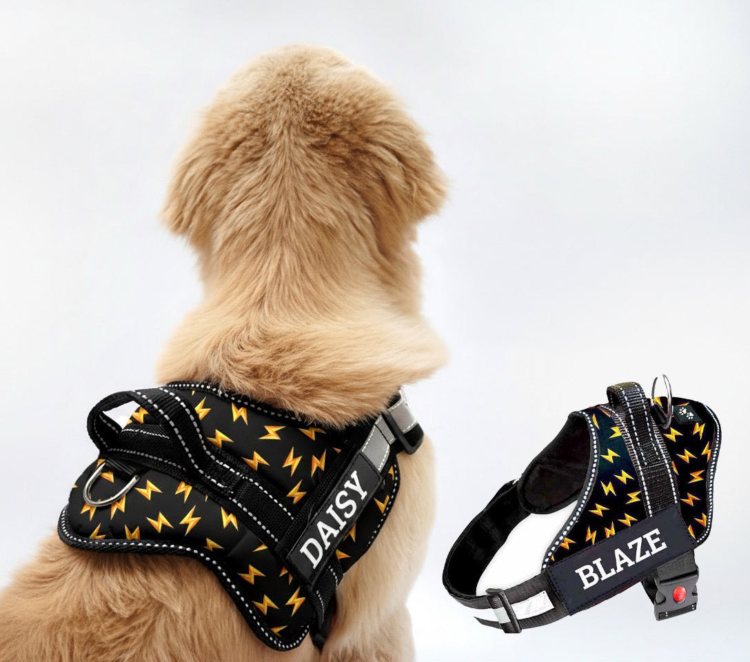 Personalized Dog Harness - THUNDER