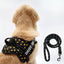 Personalized Dog Harness