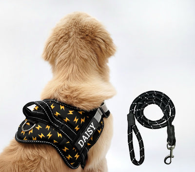 Personalized Dog Harness - THUNDER