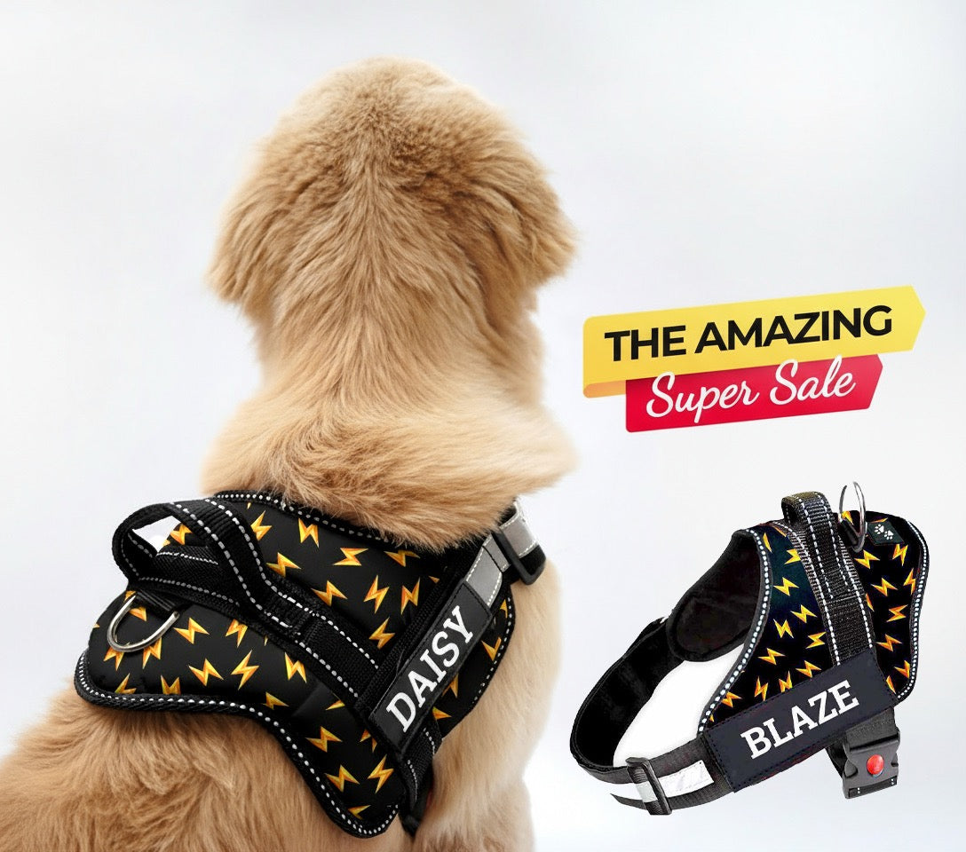 Personalized Dog Harness - THUNDER