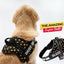 Personalized Dog Harness