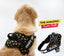 Personalized Dog Harness - THUNDER