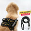 Personalized Dog Harness