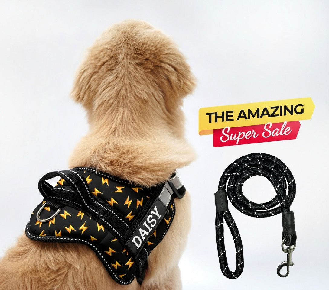Personalized Dog Harness