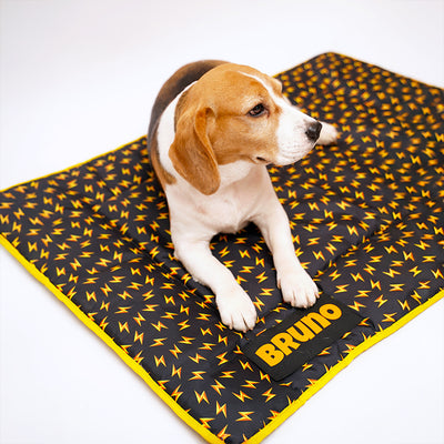 Personalized Comfy Dog Mat - THUNDER