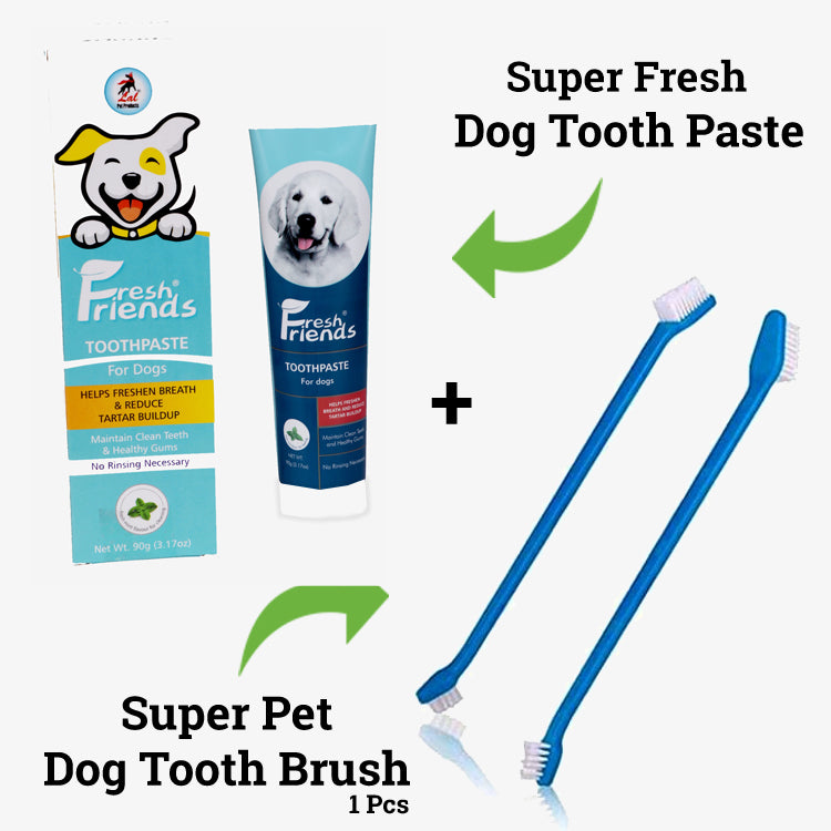 Dog Toothpaste Mint Flavor 90g & Super Dog Tooth Brush (1 Pc) COMBO